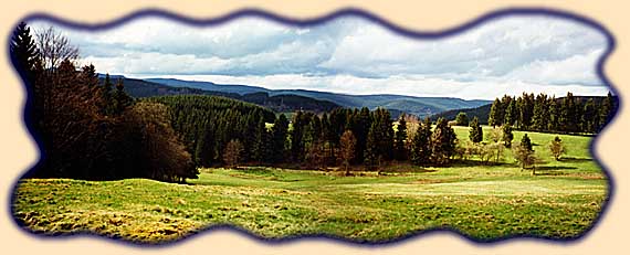 Blick vom Weg zum Auerhahn auf den Thüringer Hauptkamm.