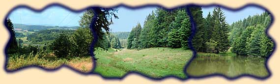 Bilder vom Teilstück Schleusingen bis Erlau